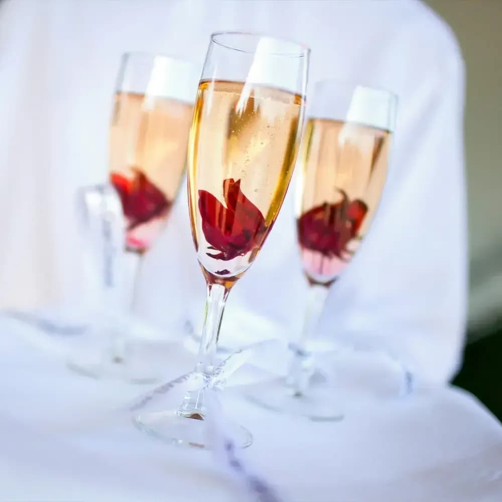 Champagne reception & aperitifs